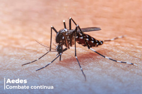 Prefeitura dá continuidade no combate ao Aedes aegypti no município